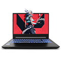RAIDER AMD 15,6