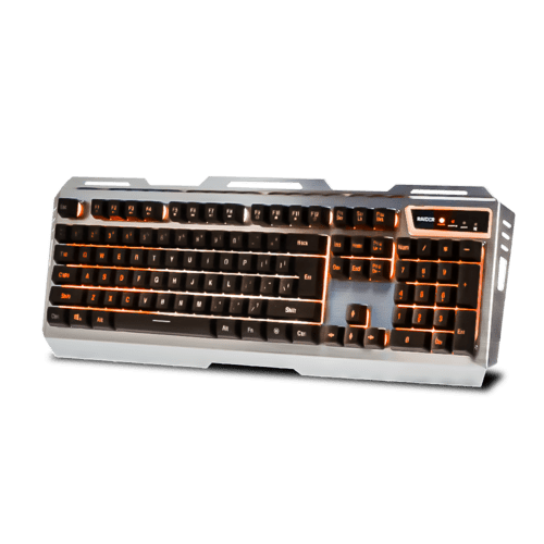 02. Raider-V1-Gaming-Combo.png