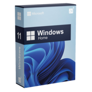 Windows 11 Home incl. volledige installatie